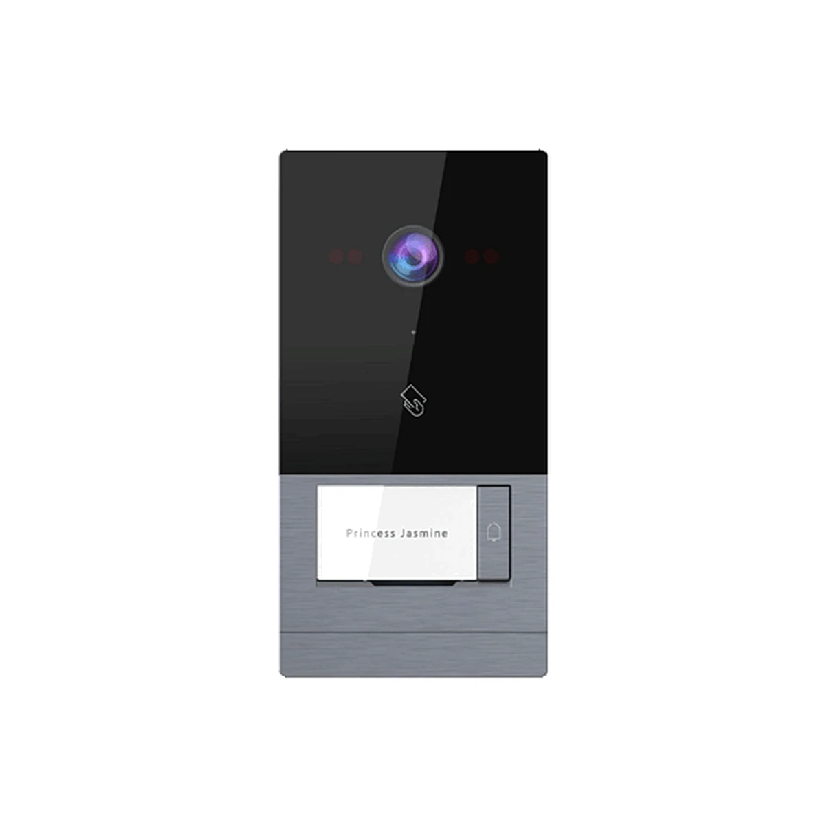 LEXALEX PALEIP Video IntercomVilla Outdoor Station (2 buttons/ 48V Grey)LX IP DRSVD LP GY AL 48V 2B VOS — Silver