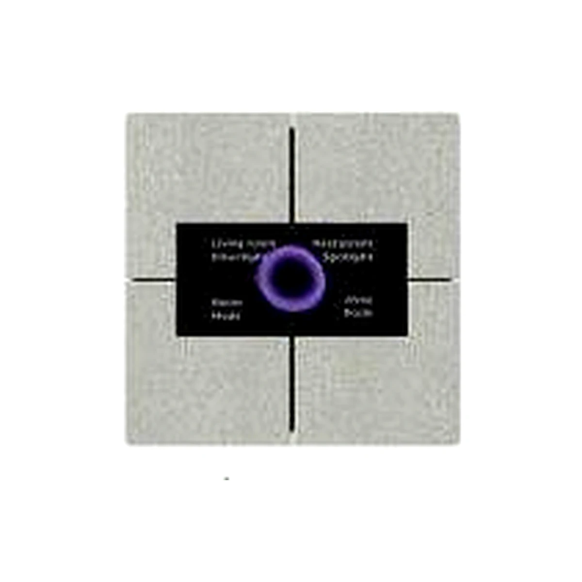 LEXA 1.9 SCREEN SMART SWITCH